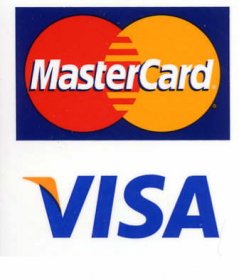 Правительство торопит Visa и MasterCard